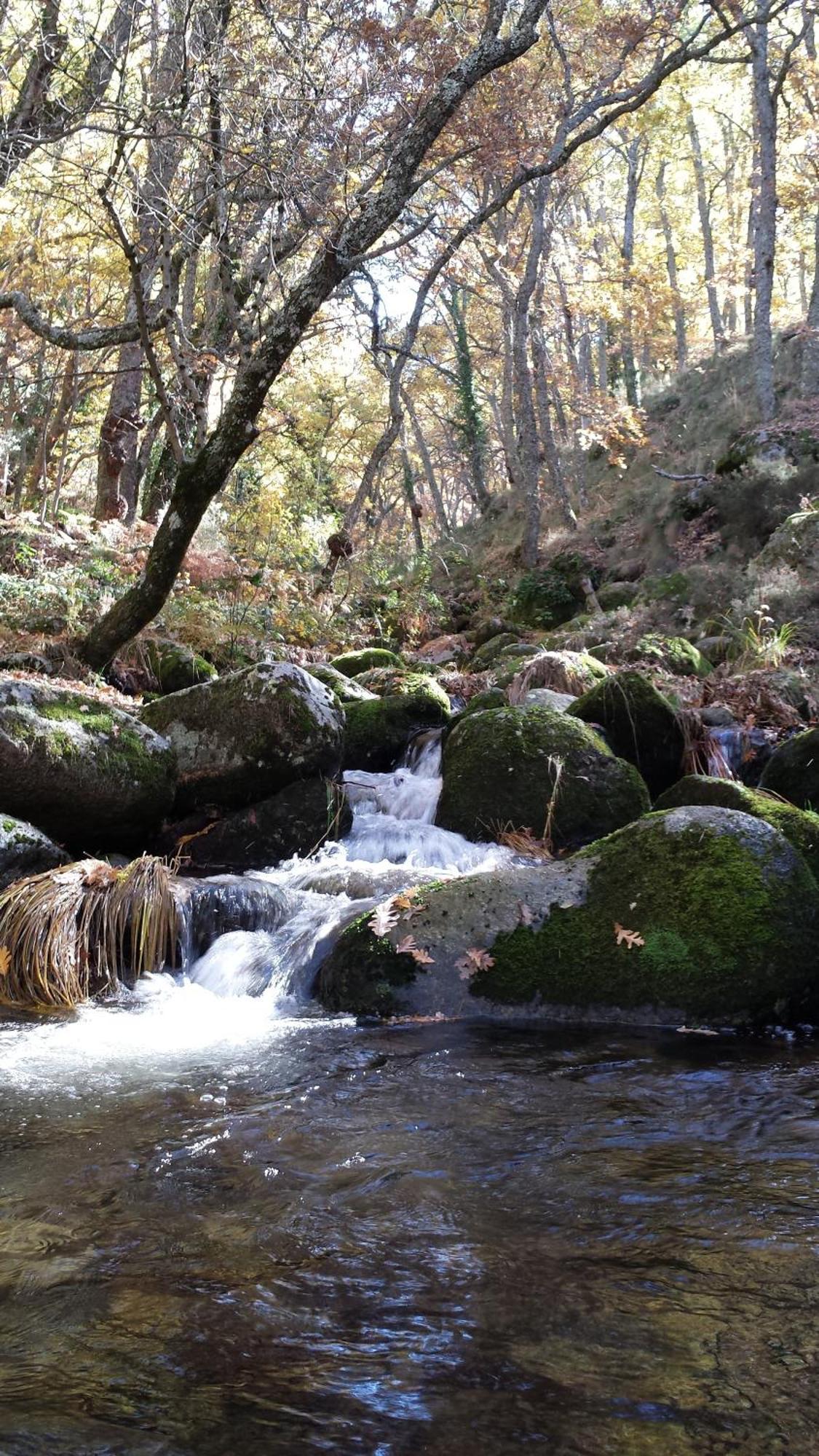 Casa Rural Con Encanto "Los Postigos" Banos De Montemayor Esterno foto
